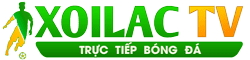arsenal – brighton